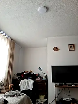 Lauryn Jones online show from 07/24/26, 04:38