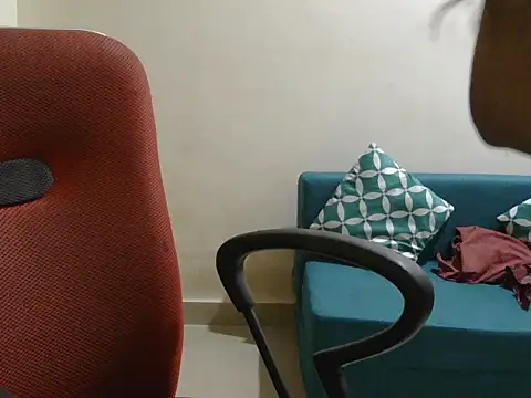 Snapshot of roja-1 chatting on 11/30/25, 01:53 roja-1 online show from 11/30/25, 01:53