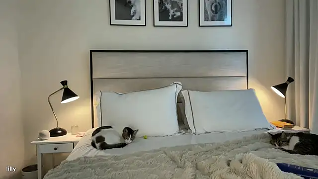 Itslillybloom online show from 11/07/25, 04:23