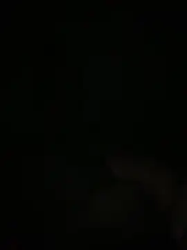 Snapshot of Manfredini607452 chatting on 11/18/25, 12:49 Manfredini607452 online show from 11/18/25, 12:49