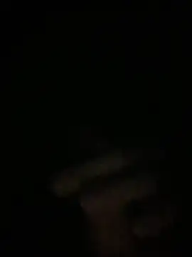 Snapshot of Manfredini607452 chatting on 11/26/25, 12:44 Manfredini607452 online show from 11/26/25, 12:44