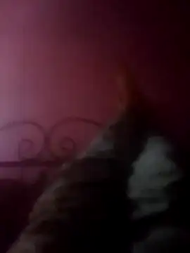 Narwindruners online show from 11/03/25, 06:53