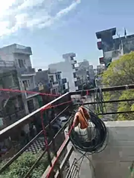 sexychd online show from 12/15/25, 04:39