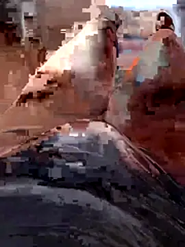 Snapshot of Vanja33 chatting on 11/03/25, 03:35 Vanja33 online show from 11/03/25, 03:35