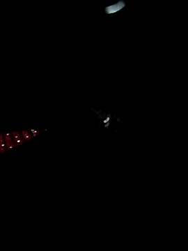 LenaLy2k online show from 11/16/25, 09:42