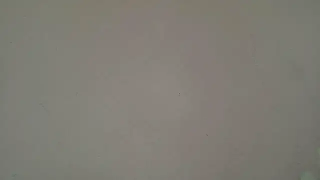 HornyElena online show from 07/20/26, 03:14