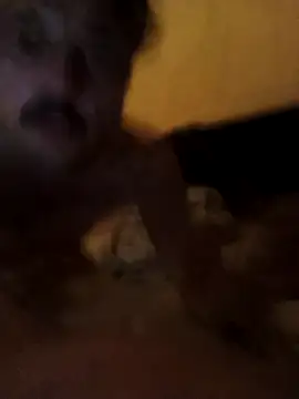 putosemlimiti online show from 11/08/25, 11:58