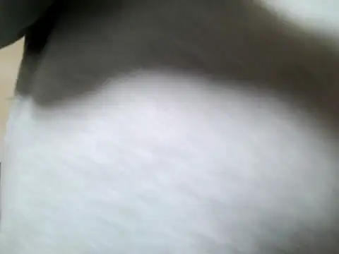 Olifesse online show from 05/16/26, 08:22