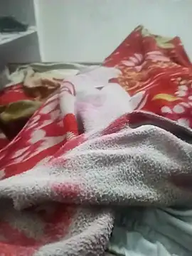 hyderabad single online show from 11/23/25, 03:50