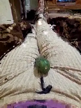 Snapshot of Tota_sexi chatting on 11/27/25, 10:45 Tota sexi online show from 11/27/25, 10:45