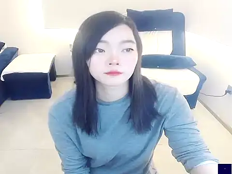 Snapshot of Shaurk chatting on 12/04/25, 02:43 Shaurk online show from 12/04/25, 02:43