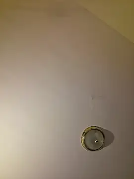 piggylatino online show from 07/25/26, 01:58