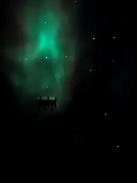 Snapshot of arcacsel chatting on 11/24/25, 10:53 arcacsel online show from 11/24/25, 10:53