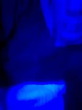 Snapshot of FrappedLocking chatting on 05/22/26, 08:42 FrappedLocking online show from 05/22/26, 08:42