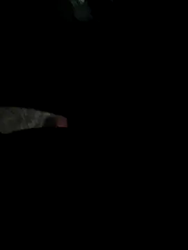 Claudioxavier2 online show from 07/07/26, 04:37