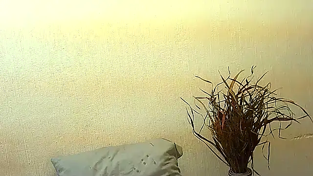 BrunetteNaomi8 online show from 07/04/26, 08:04