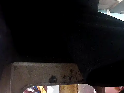 localboybbsr online show from 07/24/26, 07:17