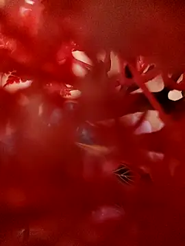 Snapshot of Jbsmaster chatting on 11/19/25, 02:06 Jbsmaster online show from 11/19/25, 02:06