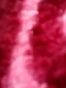 Snapshot of Reema_143 chatting on 11/30/25, 04:05 Reema 143 online show from 11/30/25, 04:05