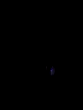 00x0x00 online show from 03/29/26, 07:03