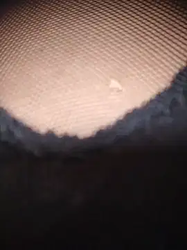 Snapshot of AnaMaria-12 chatting on 12/17/25, 05:19 AnaMaria-12 online show from 12/17/25, 05:19