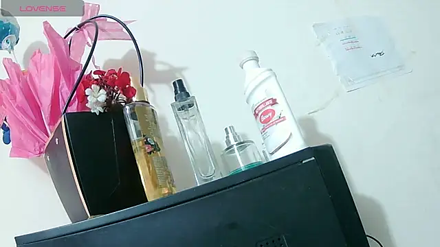 ashleey palmer online show from 06/15/26, 12:51