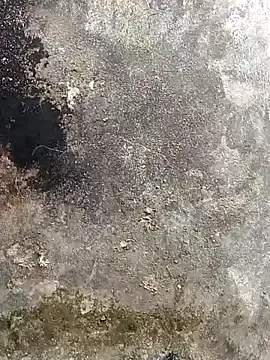 lynae-0 online show from 12/15/25, 05:12