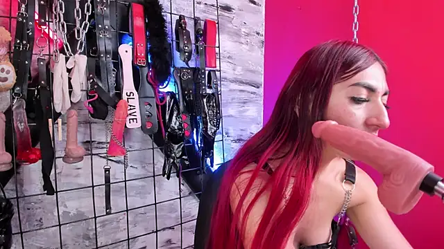Venus Bms  online show from 06/03/26, 10:40