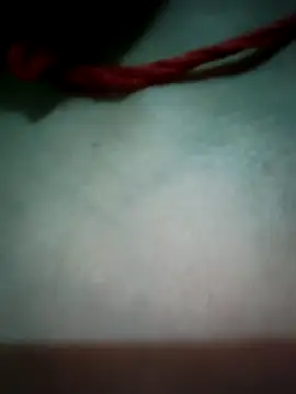 Snapshot of Punam_panjabi chatting on 06/11/26, 03:10 Punam panjabi online show from 06/11/26, 03:10