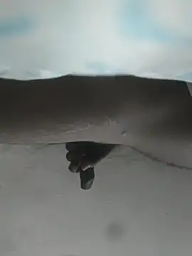 hunter379 online show from 12/03/25, 09:40