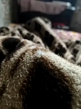 Snapshot of Mahi-Aman chatting on 12/05/25, 02:42 Mahi-Aman online show from 12/05/25, 02:42