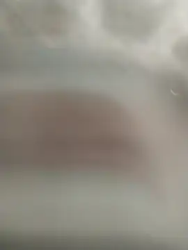 Snapshot of kral4531 chatting on 12/01/25, 03:50 kral4531 online show from 12/01/25, 03:50