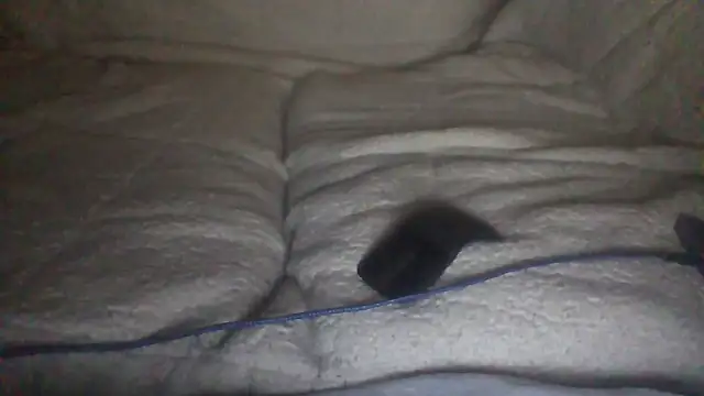 Snapshot of moneymaker50 chatting on 12/02/25, 04:51 moneymaker50 online show from 12/02/25, 04:51