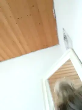 Snapshot of Milas_Dreams_OF chatting on 12/15/25, 08:40 Milas Dreams OF online show from 12/15/25, 08:40