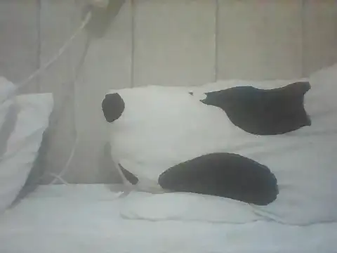 Thand03 online show from 05/26/26, 03:57