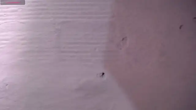 danycute  online show from 07/26/26, 02:57