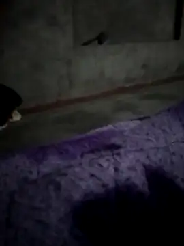 Kwiky7 online show from 12/16/25, 04:01