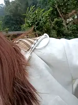 Snapshot of Chinchink2 chatting on 12/15/25, 04:17 Chinchink2 online show from 12/15/25, 04:17