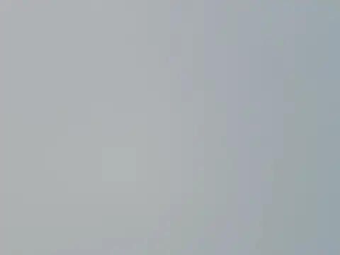 Snapshot of Fish_136 chatting on 04/01/26, 01:28 Fish 136 online show from 04/01/26, 01:28
