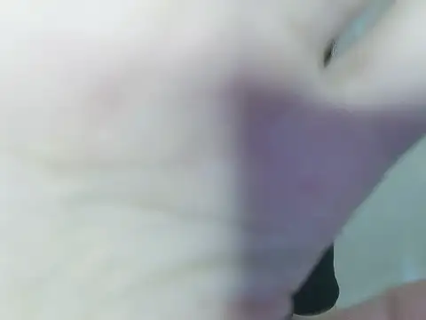 Snapshot of Fish_136 chatting on 06/03/26, 12:30 Fish 136 online show from 06/03/26, 12:30