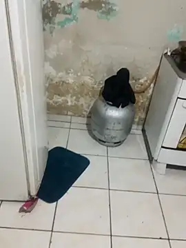 Snapshot of _-_charmosa chatting on 12/15/25, 01:21 - charmosa online show from 12/15/25, 01:21