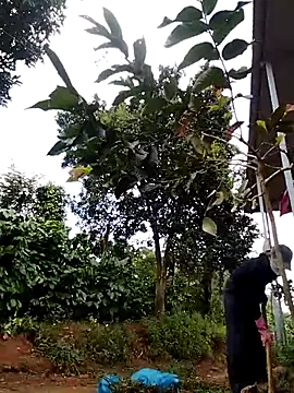 Snapshot of Metting88 chatting on 12/15/25, 01:21 Metting88 online show from 12/15/25, 01:21