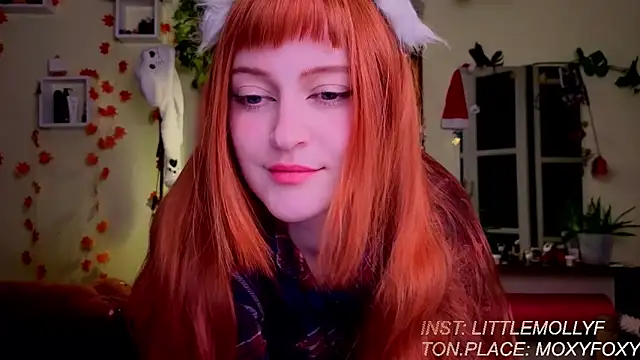 Snapshot of LittleFoxHole chatting on 03/01/26, 01:51 LittleFoxHole online show from 03/01/26, 01:51