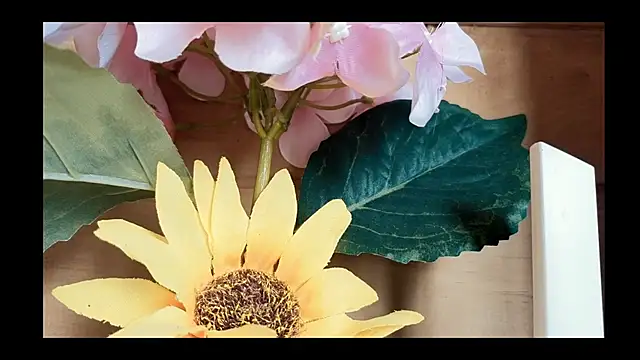 vickvalencia2 online show from 05/04/26, 01:40