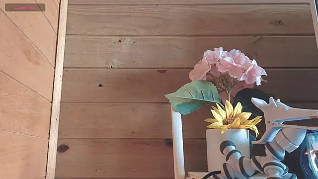 vickvalencia2 online show from 05/27/26, 02:03