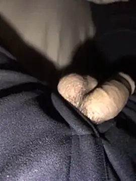 Snapshot of lion_kun chatting on 12/15/25, 09:13 lion kun online show from 12/15/25, 09:13