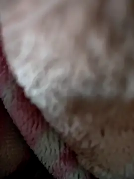 Snapshot of Hot--Kajal chatting on 12/15/25, 08:51 Hot--Kajal online show from 12/15/25, 08:51