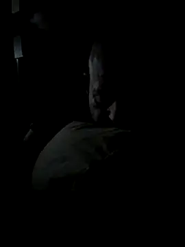 Snapshot of K9handler1 chatting on 12/16/25, 11:32 K9handler1 online show from 12/16/25, 11:32