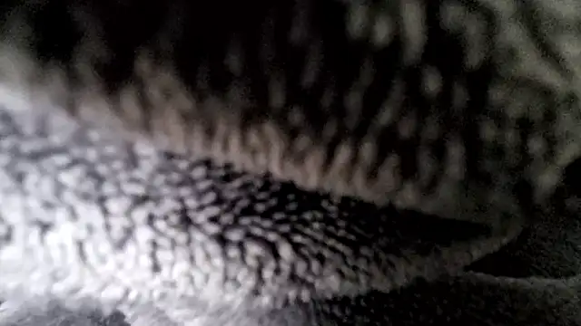 Snapshot of Saarboy90 chatting on 12/16/25, 12:54 Saarboy90 online show from 12/16/25, 12:54