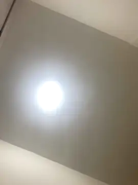 Snapshot of roger_rabiit chatting on 12/19/25, 01:12 roger rabiit online show from 12/19/25, 01:12